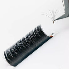 Load image into Gallery viewer, 0.07 Blooming Easy Fans Eyelash Extension
