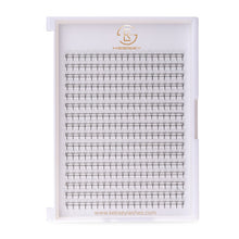 Load image into Gallery viewer, 5D Pointy Base Premade Fans Eyelash Extension
