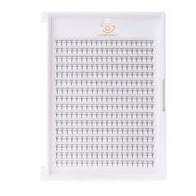 Load image into Gallery viewer, 6D Pointy Base Premade Fans Eyelash Extension
