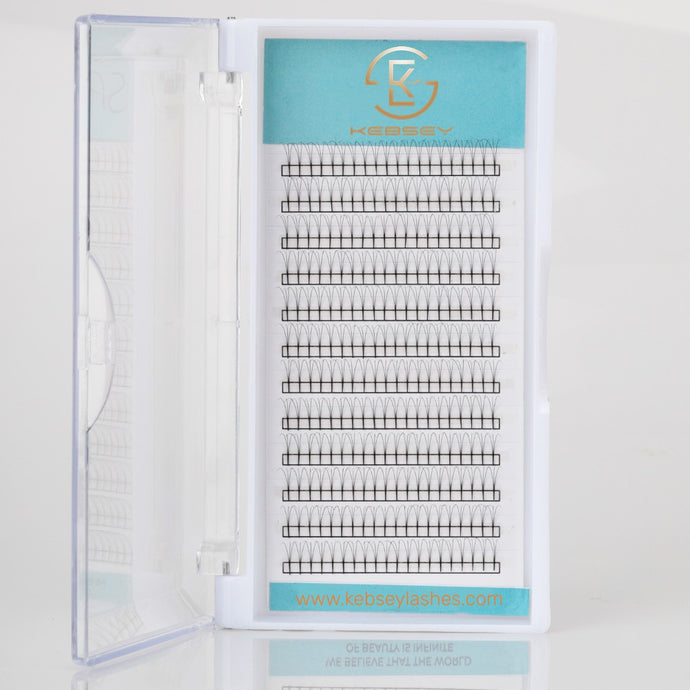 3D Long Premade Fans Eyelash Extension