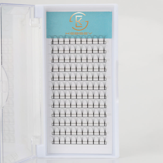 6D Long Premade Eyelash Extension