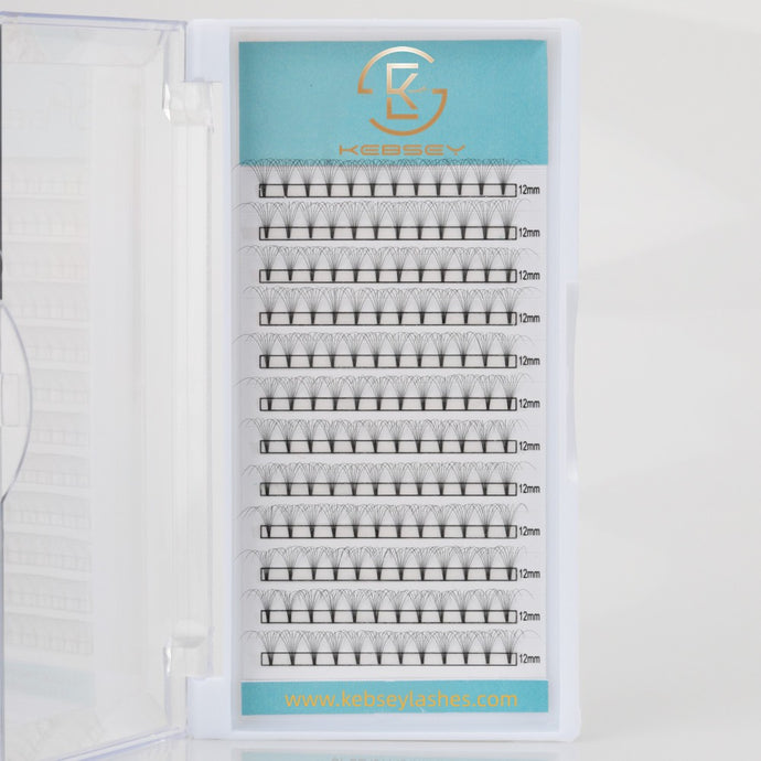 8D short Premade Eyelash Extension