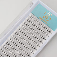 Load image into Gallery viewer, 9D short Premade Eyelash Extension
