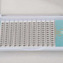 Load image into Gallery viewer, 9D short Premade Eyelash Extension
